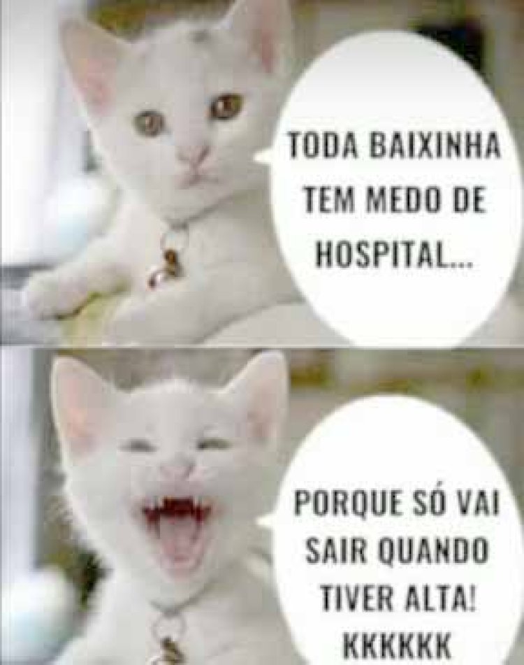 Deu na Net do Pergaminho