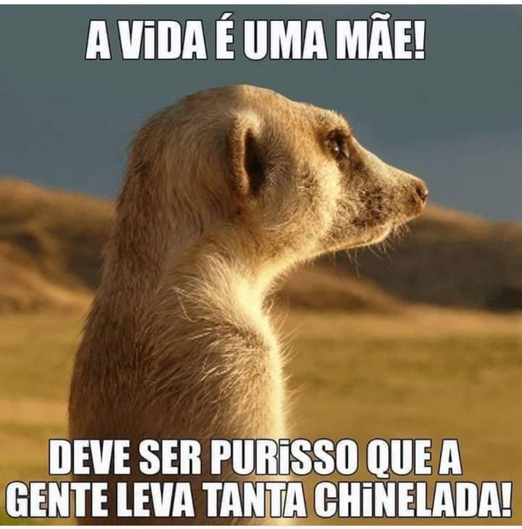 Deu na Net do Pergaminho