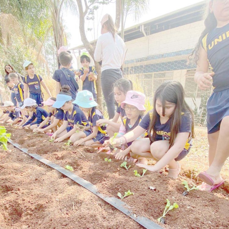 Alunos do Colégio Unifor visitam a Fazenda Laboratório