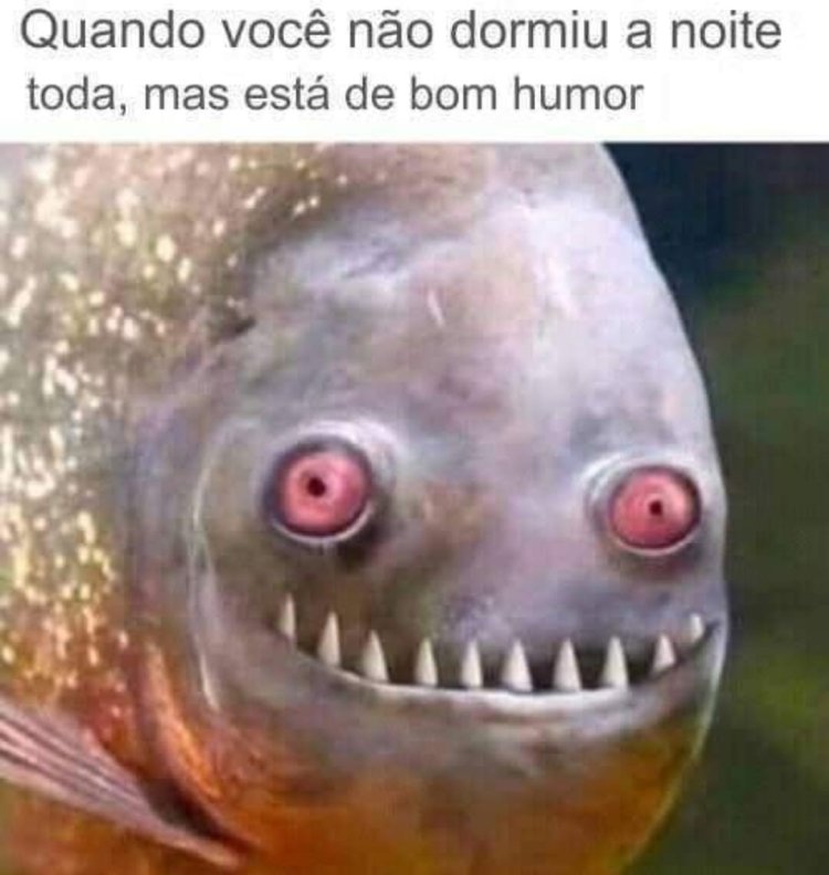 Deu na Net do Pergaminho