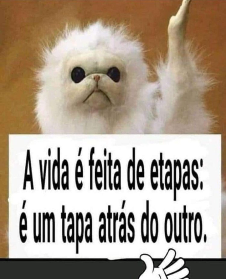 Deu na Net do Pergaminho