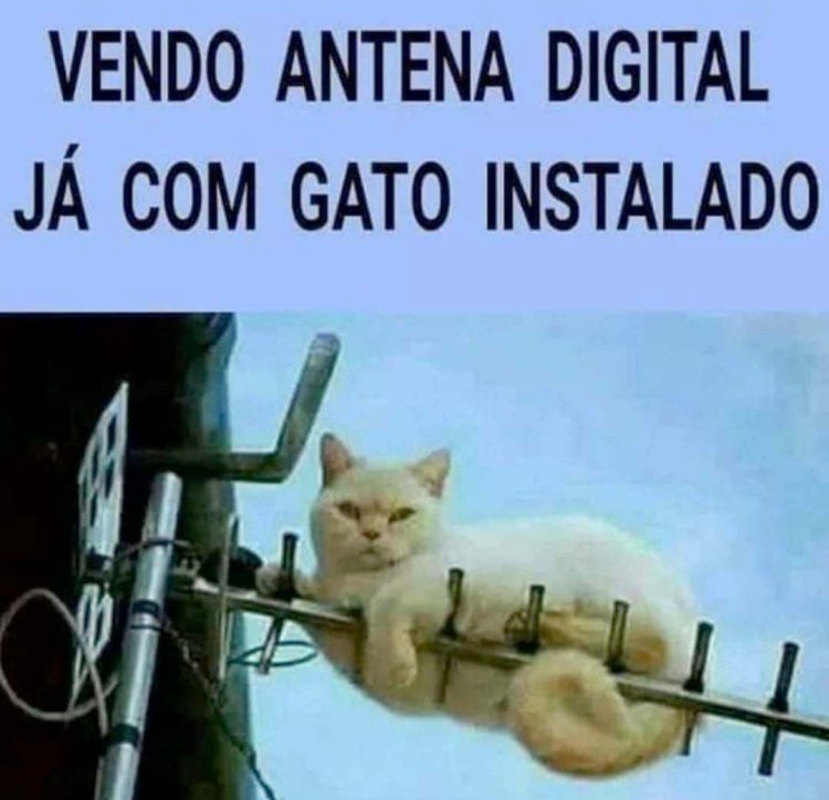 Deu na Net do Pergaminho