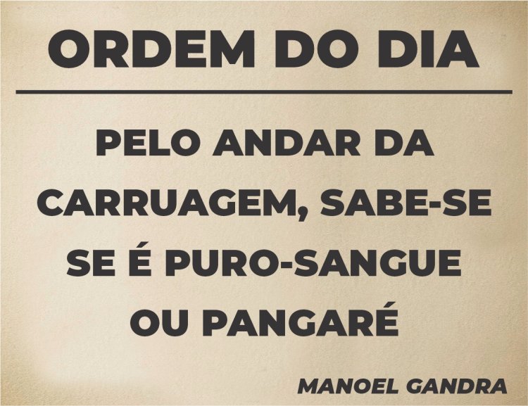 Ordem do Dia - Pergaminho