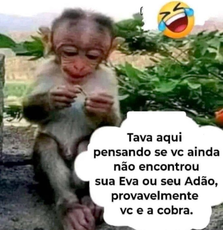 Deu na Net do Pergaminho