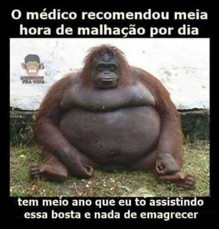 Deu na Net do Pergaminho