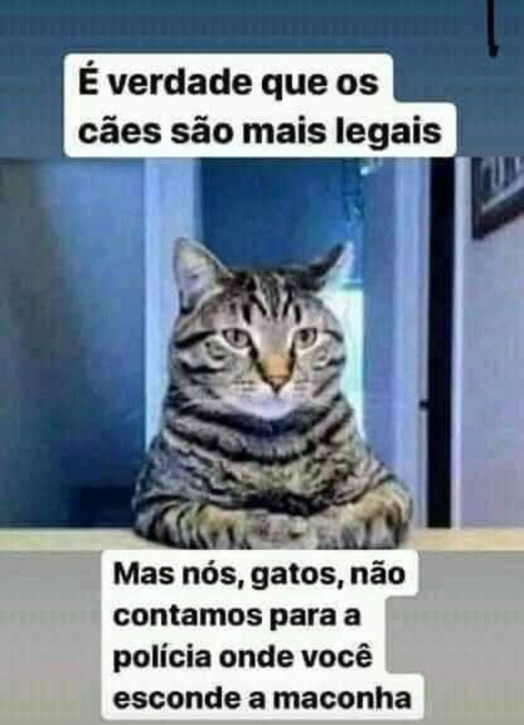 Deu na Net do Pergaminho