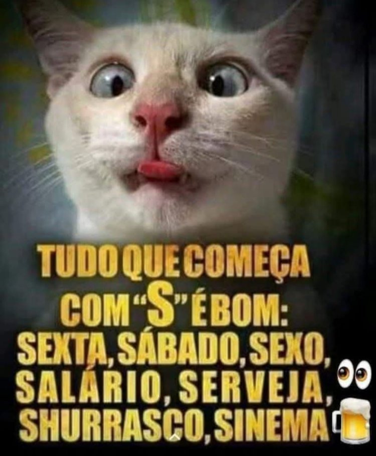 Deu na net do Pergaminho