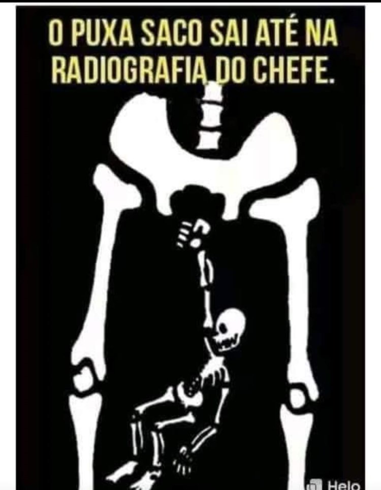 Deu na Net do Pergaminho
