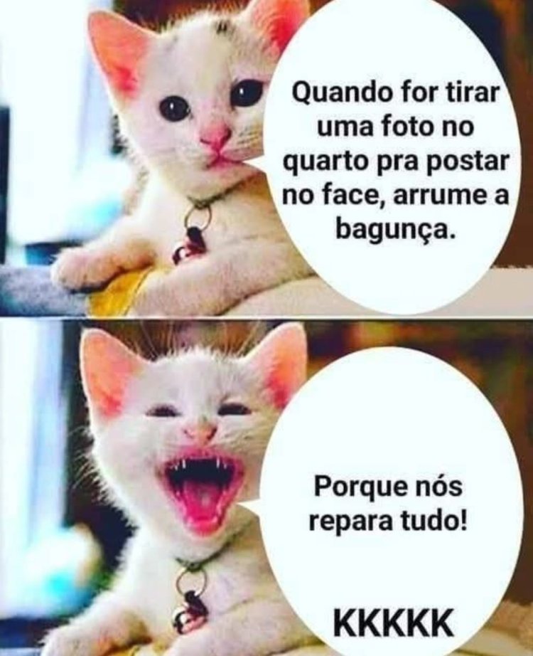 Deu na Net do Pergaminho