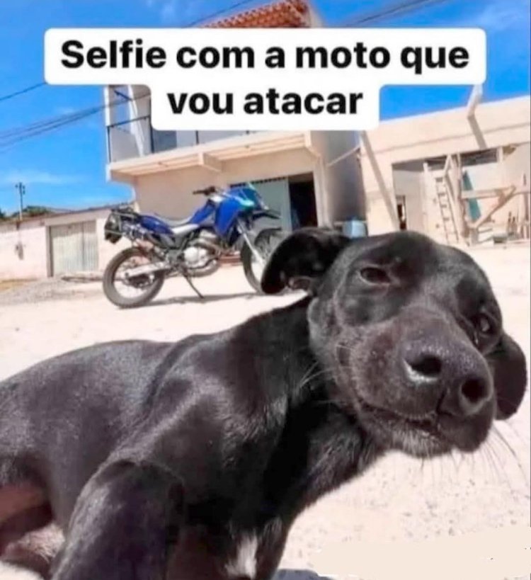 Deu na Net do Pergaminho