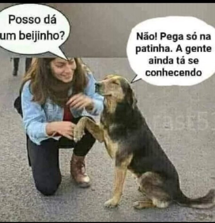 Deu na Net do Pergaminho