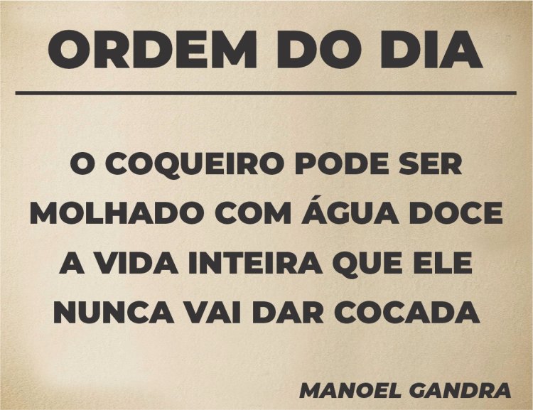 Ordem do Dia - Pergaminho