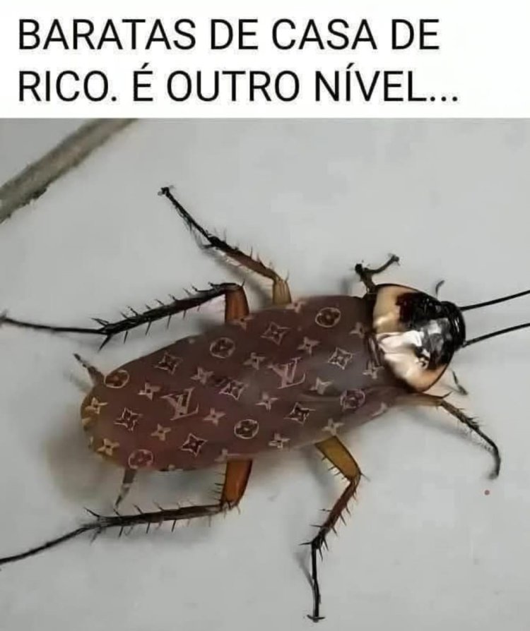 Deu na Net do Pergaminho