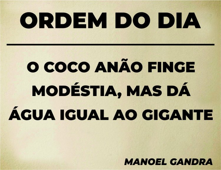 Ordem do Dia - Pergaminho