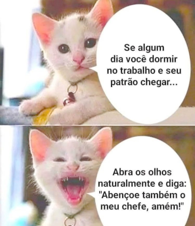 Deu na Net do Pergaminho