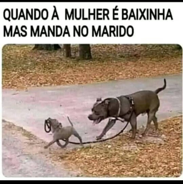 Deu na Net do Pergaminho