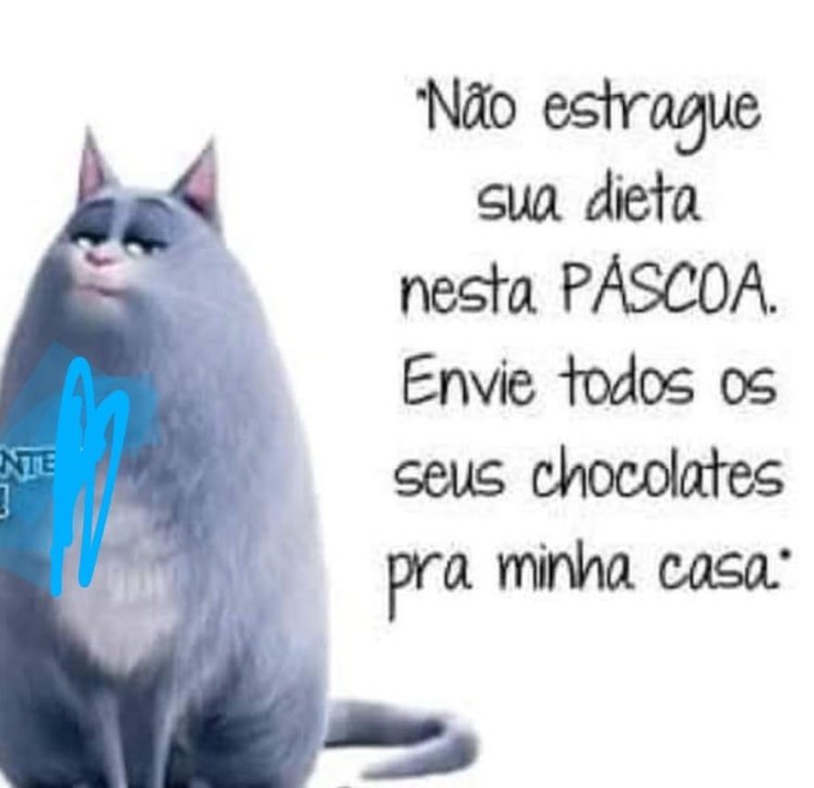 Deu na Net do Pergaminho