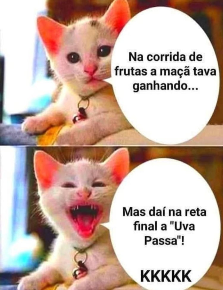 Deu na Net do Pergaminho