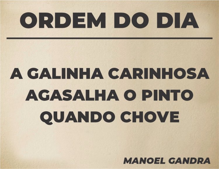 Ordem do Dia - Pergaminho