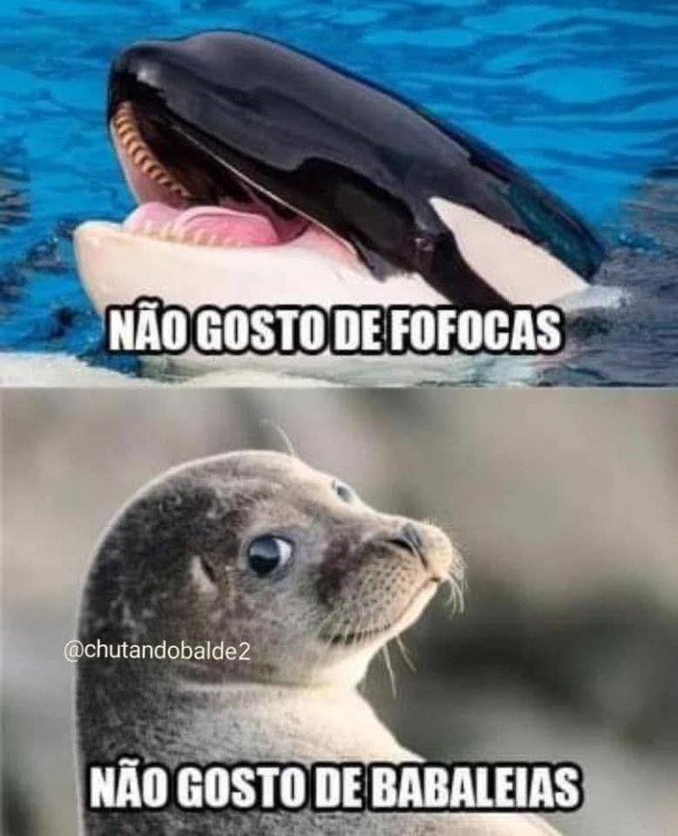 Deu na Net do Pergaminho
