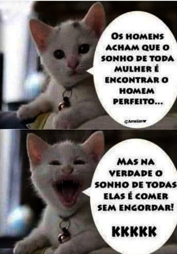 Deu na Net do Pergaminho